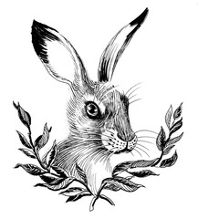 Rabbit portrait