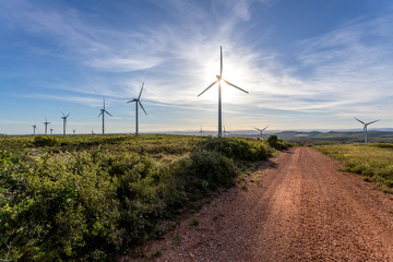 sur le haut d'une colline un chemin de terre et des éoliennes alignées dominant un paysage en fond