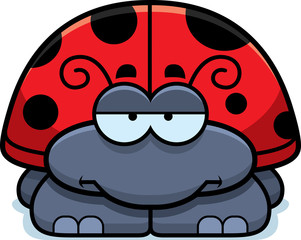 Bored Little Ladybug