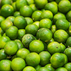Close up lime.