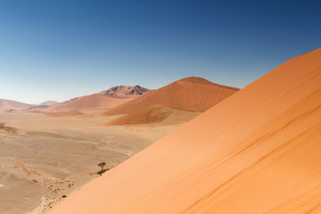 Top of Dune 45 at Sossusvlei