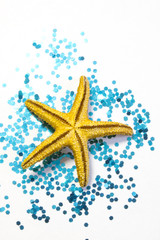 Small Starfish on Blue Glitter