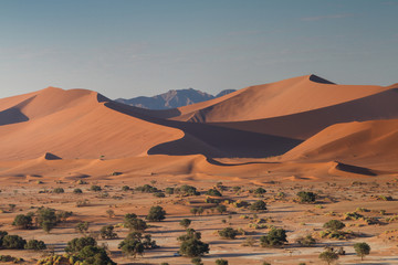 Fototapeta na wymiar Dune landscape at Sossusvlei
