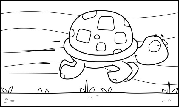 Fast Turtle