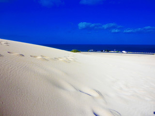 Dünen von Corralejo