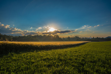 Obraz premium Beauty of the countryside