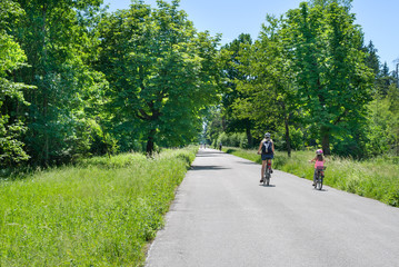 People cycling in the Perlacher Forst - obrazy, fototapety, plakaty