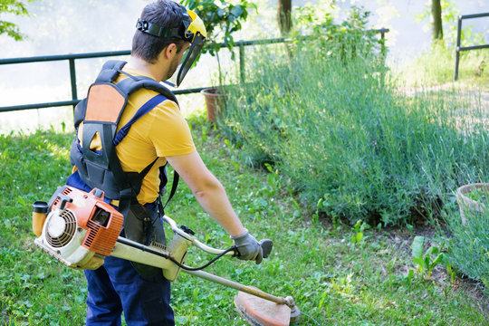 Professional Gardener Using An Edge Trimmer In Home Garden