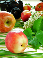 Nectarines and apples on a wooden table and an old camera surrounded by scattered grass and branches of lilac