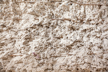 Raw concrete with concrete iron