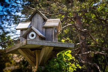 Bird house hotel waiting for tenants.