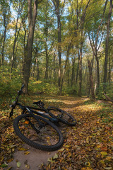 Fototapeta premium The path in the autumn forest and the bike hardtail