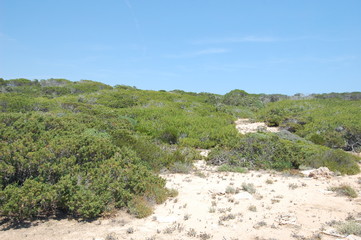 Mallorca - Sa Coma, Cala Figuera Spanien