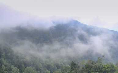 View in hill to genting highland, Malaysia