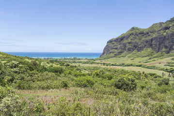 Obraz premium Hawaiian landscape 