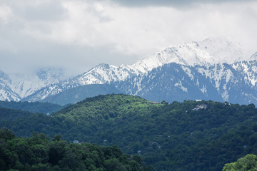 Summer mountain landscape, snow tops, fog in the mountains