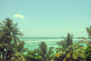 Sea and palm trees a clear blue sky