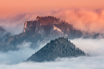 Poland landscape, Pieniny mountains in the sea of fog in the morning with Trzy Korony (Three Crowns) peak