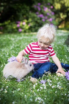 spielen mit dem Kaninchen