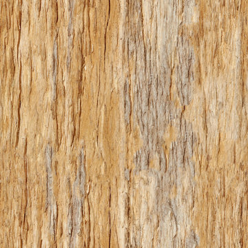 Seamless texture - rotting wood pattern