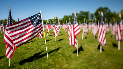 Military flags in the park blowing in the wind