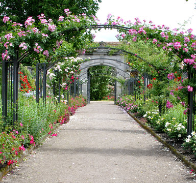 All&eacute;e fleurie de la Maison Romaine (Epinal)