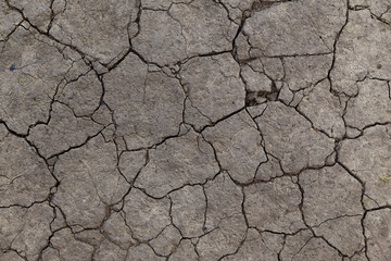 drought cracked earth