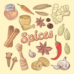 Spices Hand Drawn Doodle with Chili Pepper and Garlic. Healthy Eating Natural Food. Vector illustration