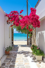 Typical Greek narrow street with summer flowers and view over sea. Naxos island. Cyclades. Greece.