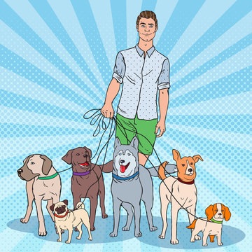 Pop Art Dog Walker. Young Man Walking with many Dogs. Vector illustration