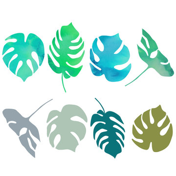 Vector monstera  palm tree leaves illustration with watercolor texture.