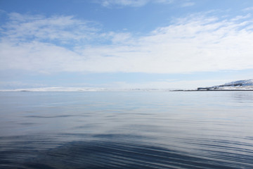 Fototapeta na wymiar Barents sea