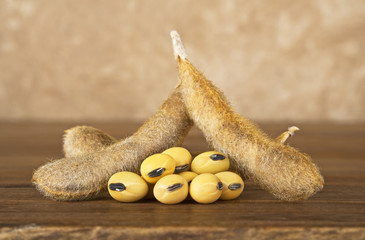 Soy pods on wooden background