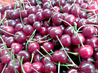 Close up of ripe red cherries