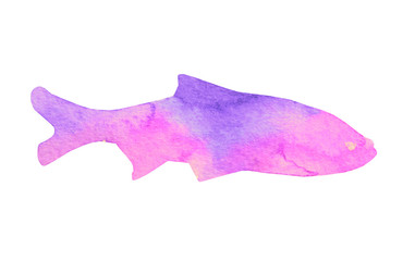 Watercolor fish on white background