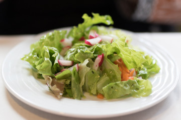 Grüner Salat