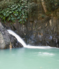 Saut de l'Acomat, Guadeloupe