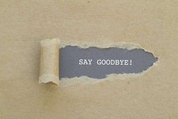 SAY GOODBYE word written under torn paper.