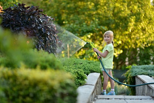 cute little girl watering