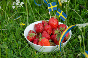 Strawberries in the field