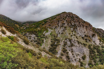Fototapeta na wymiar Lovely Mountains of Sicily. Late Spring early Summer Landscape in the Madonie hills of the island