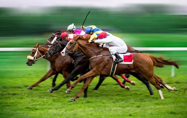 Foto op Canvas Race paarden met jockeys op het rechte stuk thuis © Lukas Gojda