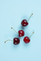 Obraz na płótnie Canvas Pop Art Red Berries