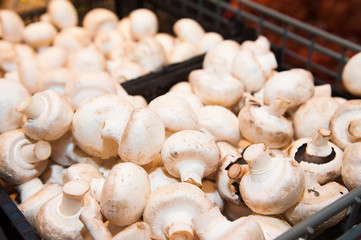 Mushrooms in shop