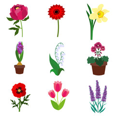 Flowers flat icon set