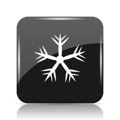 Snowflake icon