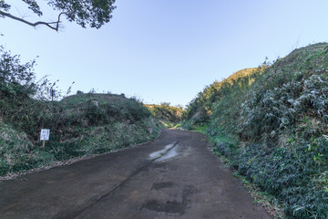 冬の本佐倉城の風景