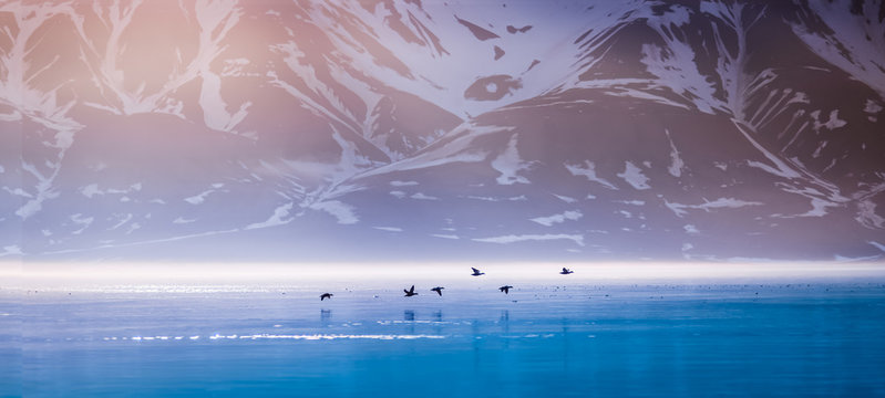 Landscape of a pink dawn in the morning in the mountains of Svalbard birds hunter in the reflection of the water of the fjord  Norway, Spitsbergen, Longyearbyen, Svalbard