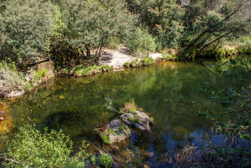 Lourizela, Águeda, Portugal