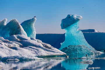 Seagulls above floating icebergs in Glacial Lagoon Jokullsarlon, South Iceland